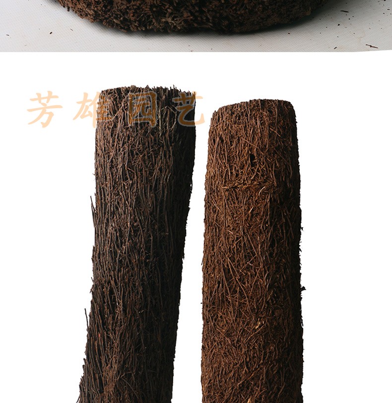 蛇木柱蛇木盆蛇木屑蛇木桩石斛种植板兰花盆栽寄生兰专用杉木 蛇木板