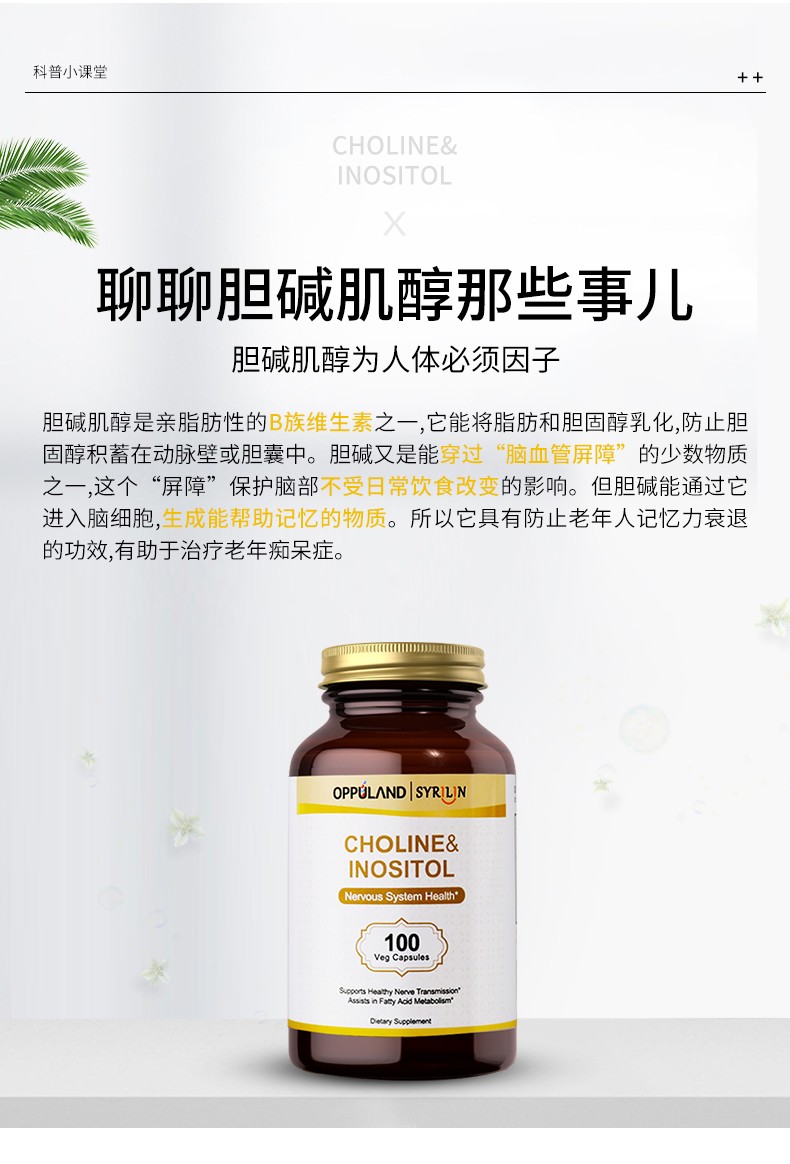 美国opd肌醇胆碱维生素b解去酒护肝缓解脂肪肝肝脏保健品降胆固醇叶酸