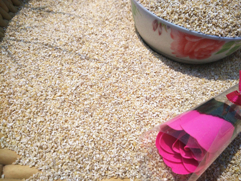 盐城特产苏北五谷杂粮大麦彩子粗粮大麦糁大麦采子大麦