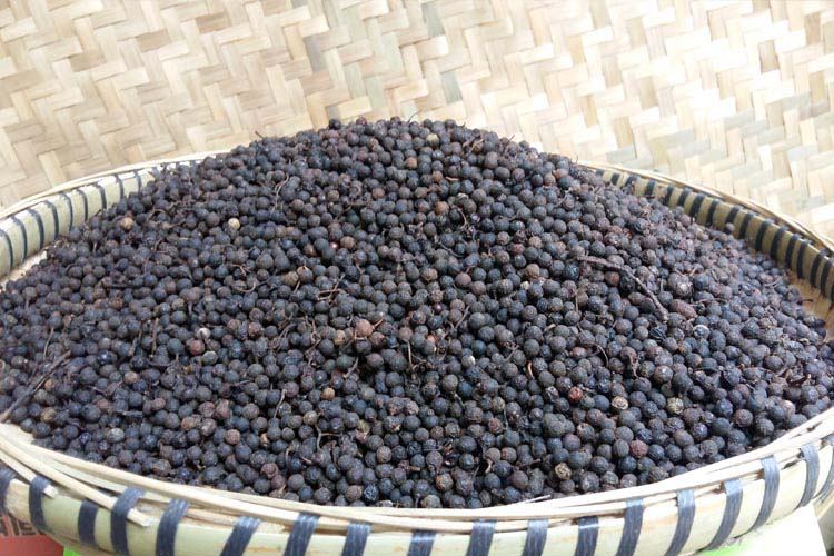 樱安娜贵州土特产木姜子木江子新鲜山胡椒晒干山苍子籽木桨子250克