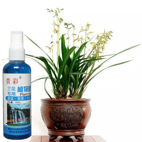 兰花专用营养液肥料兰花生根催芽液体肥室内养花通用型盆栽花卉 兰花2