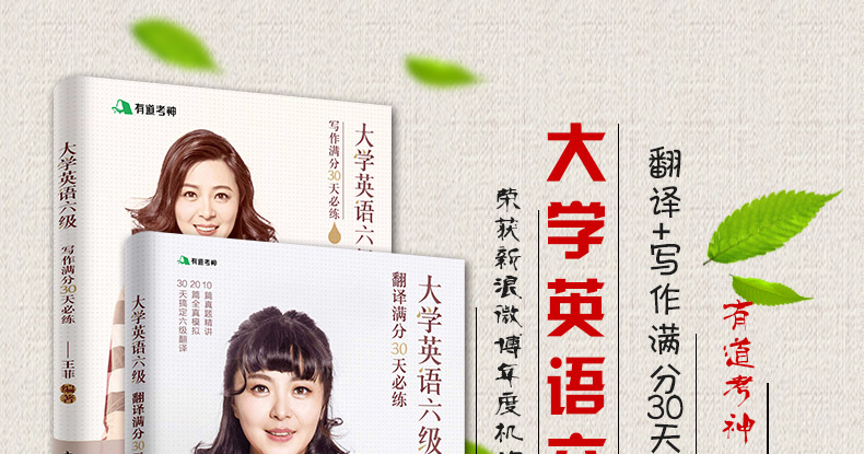 有道考神王菲老师大学英语六级写作满分30天必练 大学英语六级翻译