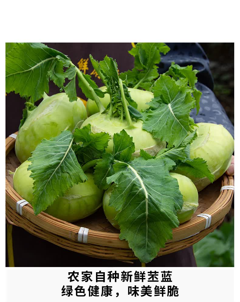 新鲜苤蓝脆嫩疙瘩大芥菜鲜疙瘩菜土苤茄莲芥蓝大头菜蔬菜 5斤