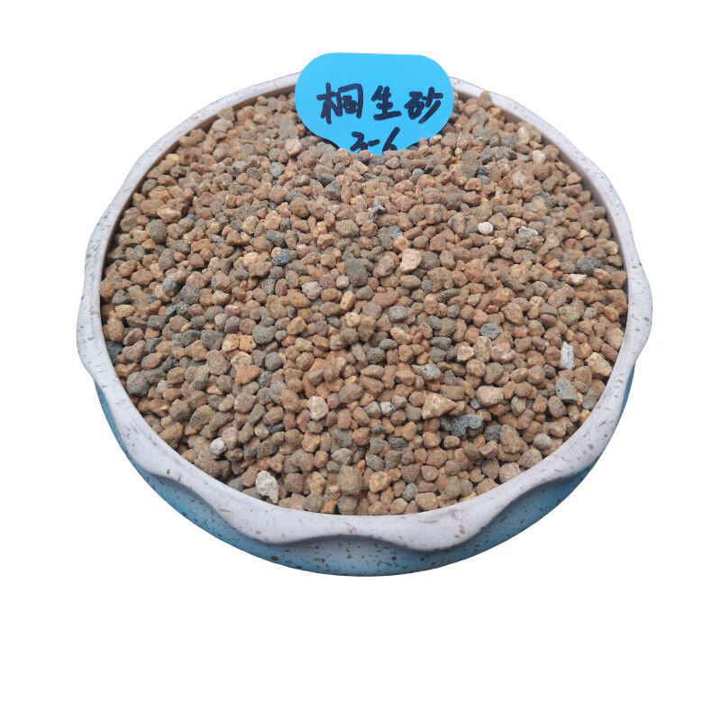 桐生砂沙通气保水 多肉植物 微景观盆景颗粒种植土造