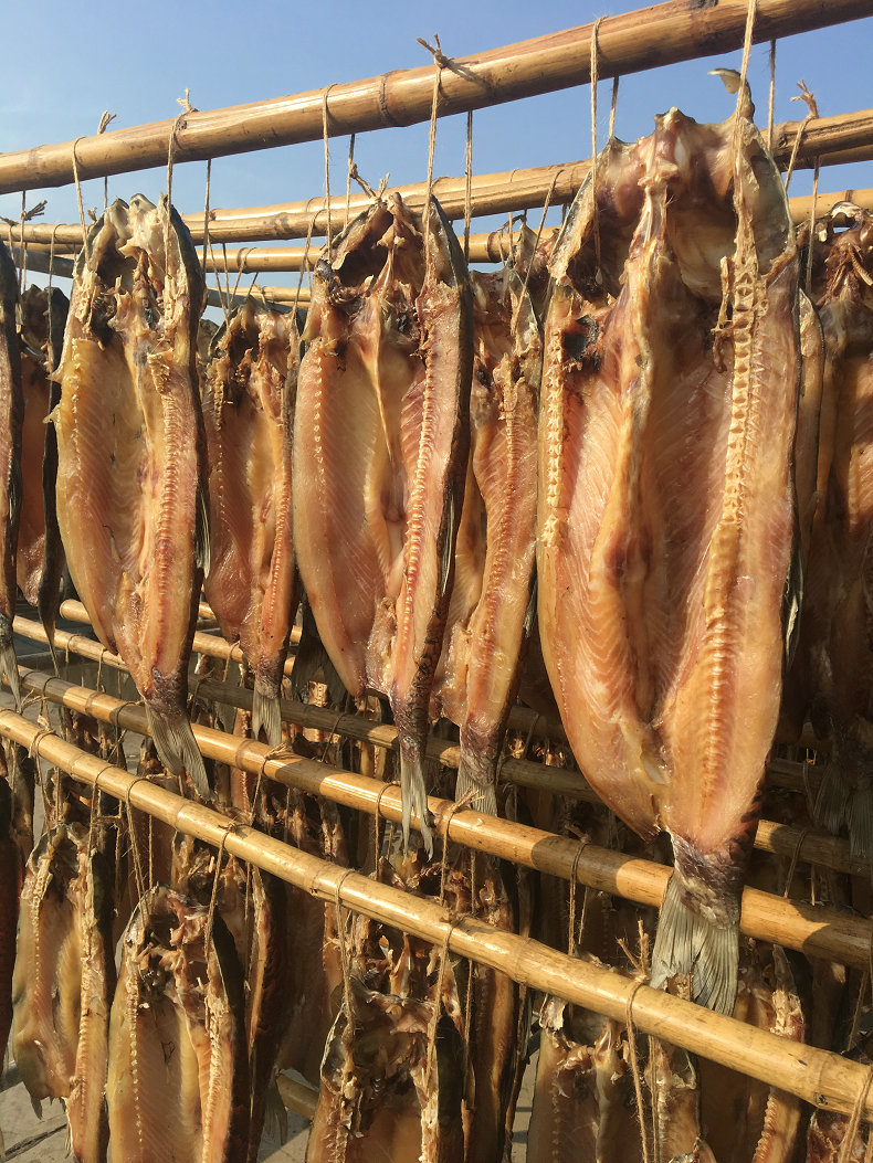 湖北腊鱼风干草鱼农家自制青鲩咸鱼青鱼阳干鱼整条腌鱼腊货年货整条