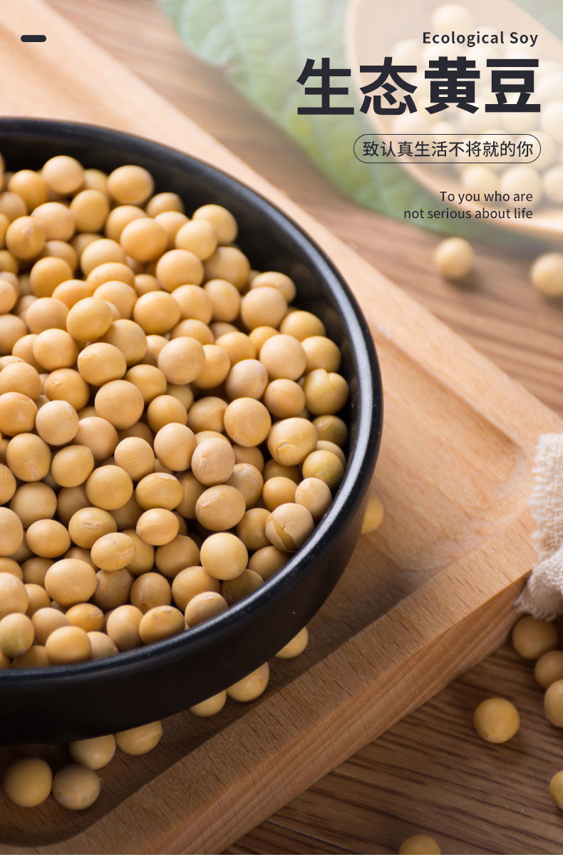 黄豆5斤新干豆打豆浆豆1斤大粒宏齐豆芽豆浆专用黄豆 500g【精品1斤】