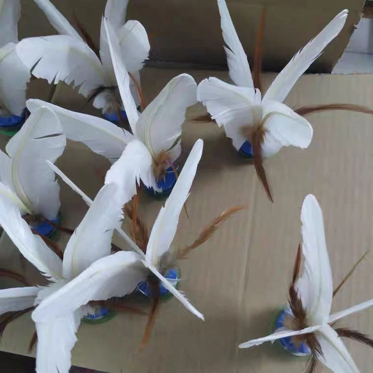 鹅毛好鸡毛毽牛筋底儿童小学生比赛大花毽批发 白色 三个大白毽【图片