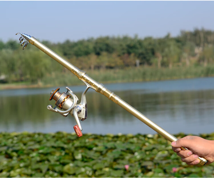 狼王战海竿套装海钓竿碳素海杆超硬远投竿钓鱼竿渔具全套组合 lw2.4米