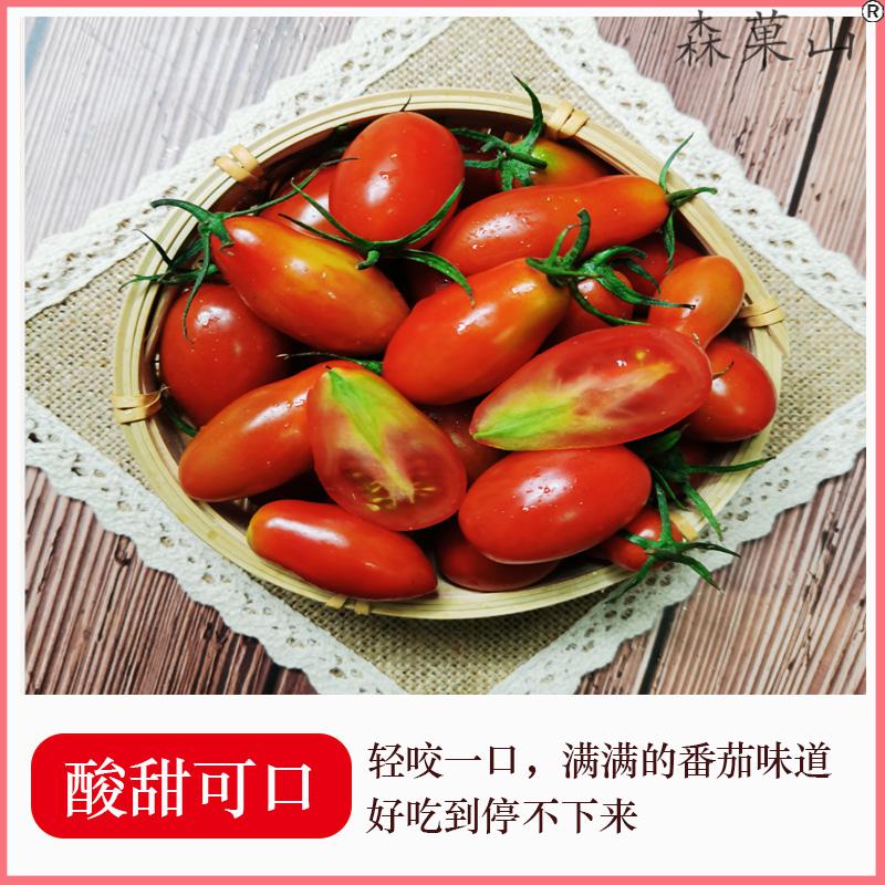 顺丰丹东花生小柿子辽宁特产409小柿子圣女果小番茄花生柿子孕妇新鲜