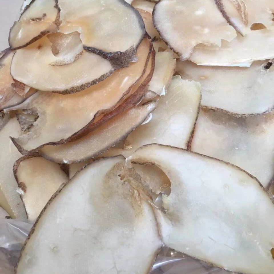 阳江特产响螺片深海大螺片海螺干煲汤好材料250g500g