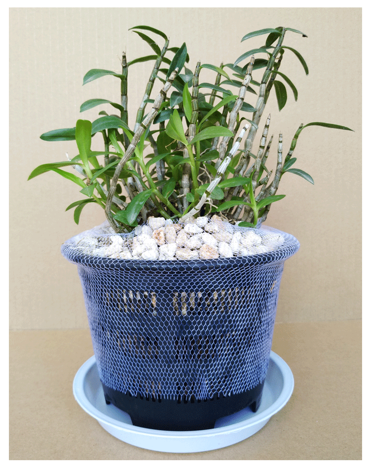 兰花盆网罩网套套网植料防漏网高弹性塑料紫砂陶瓷花盆防护网兰草花盆