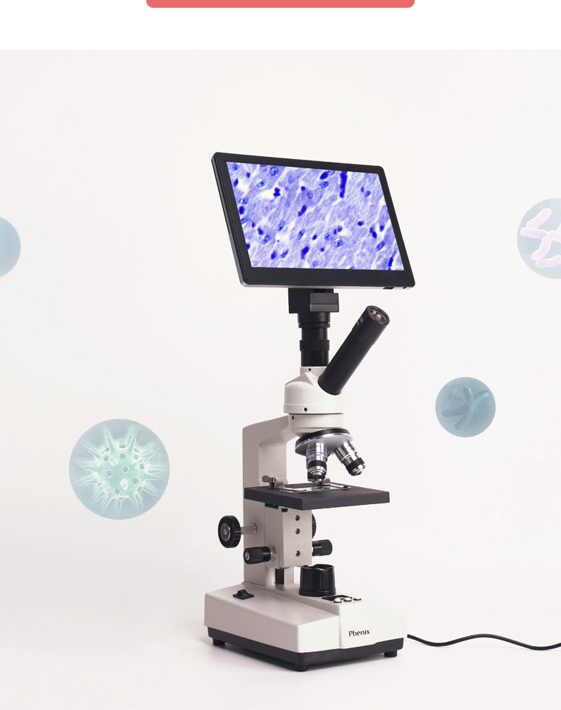 凤凰显微镜显示屏凤凰生物体视显微镜便携液晶显示屏高清数码平板手机