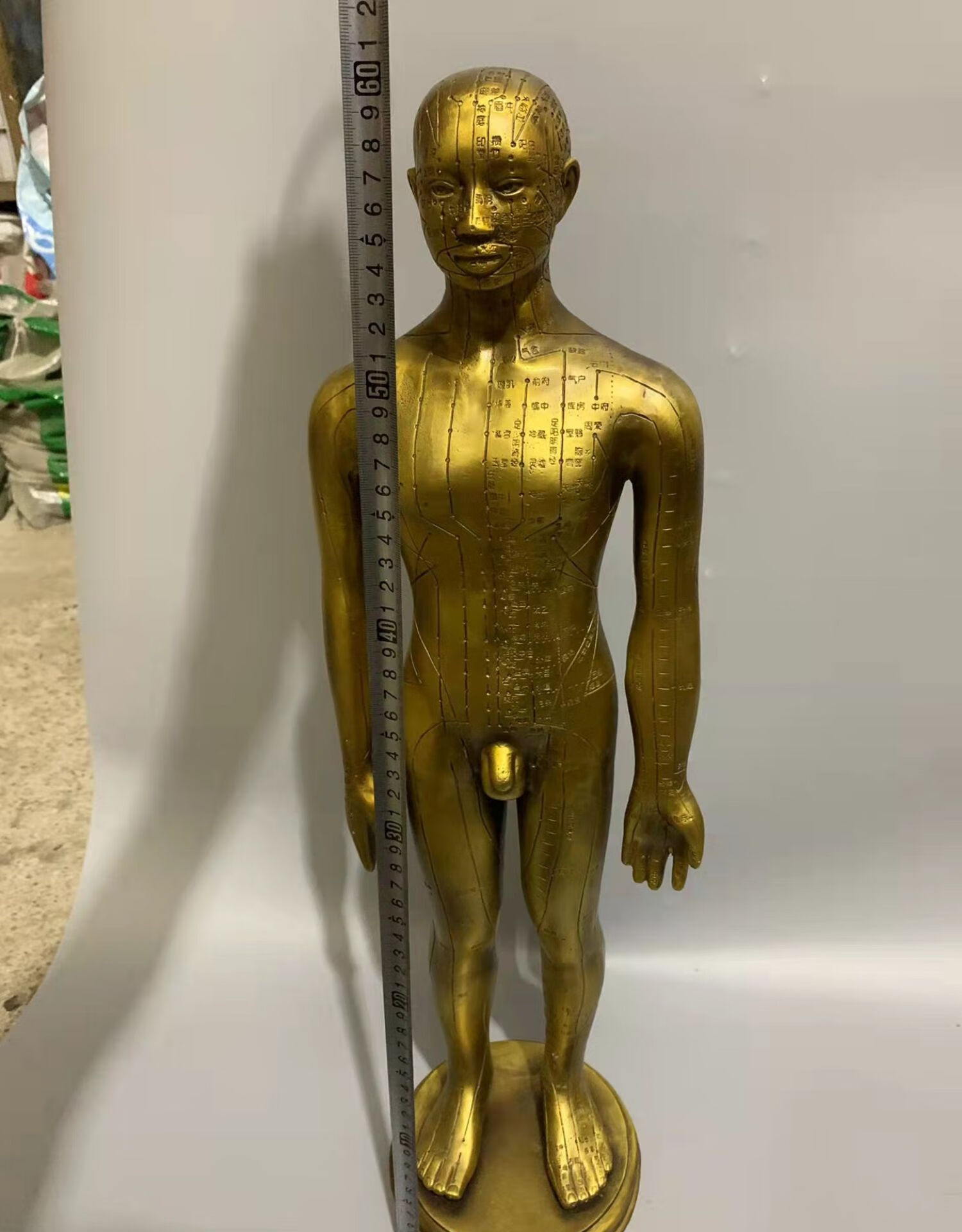 适用于纯铜穴位人针灸人体男女模型铜人艾灸经络图中医药王医馆展示