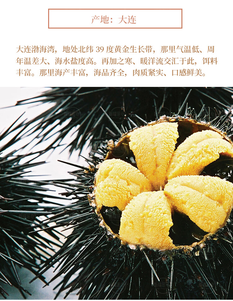 大连黄金海胆现剥海胆肉即食木盒装刺身日料生80g