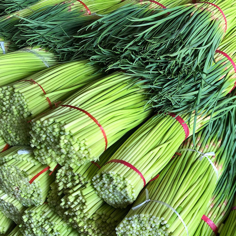 蒜苔新鲜蒜薹头茬紫皮大蒜头第蒜苗一名新鲜蔬菜3斤精选新鲜蒜苔