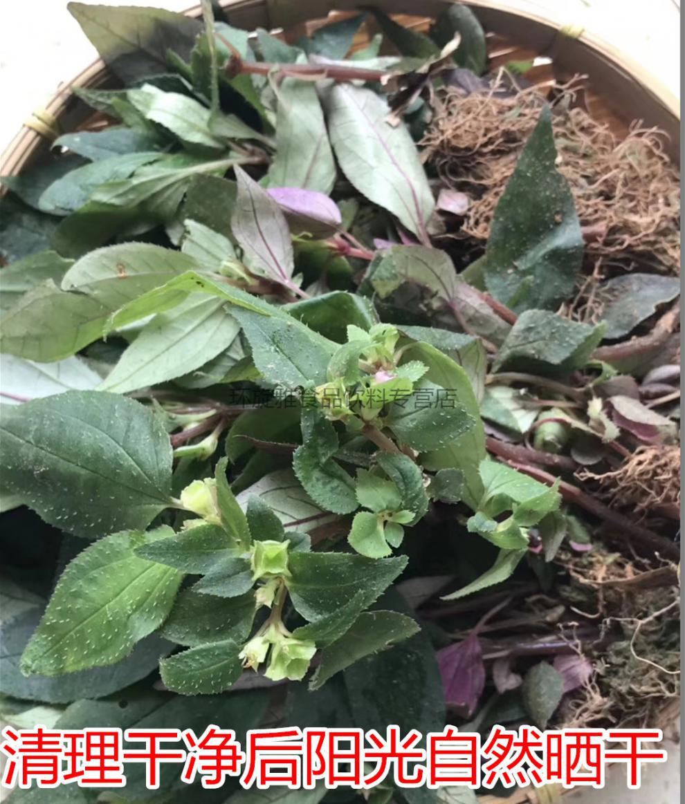 2021年福建风柜斗草干品半斤风鼓草风谷草楮头红250g 红250g【图片