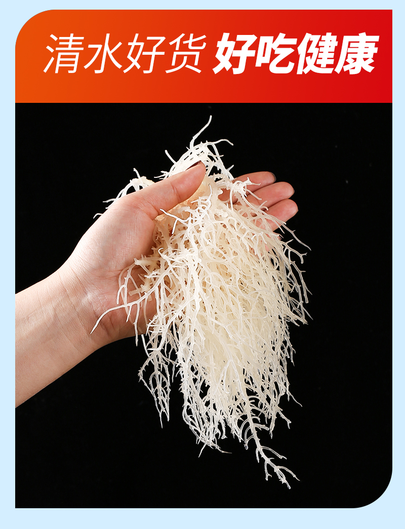 清水龙须菜干货凉拌菜石花菜鹿角菜淡干海石花海藻铭岛主清水龙须500g