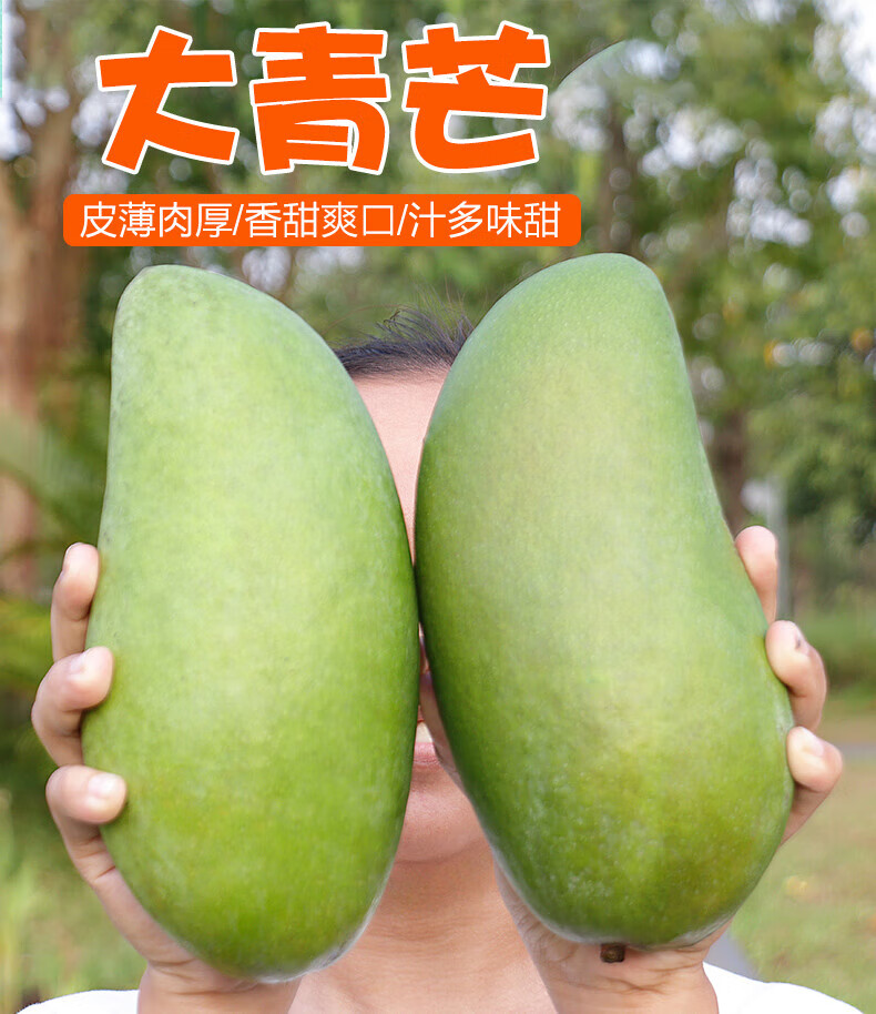 更多参数>>原产地:海南国产/进口:国产包装形式:简装品种:青芒商品