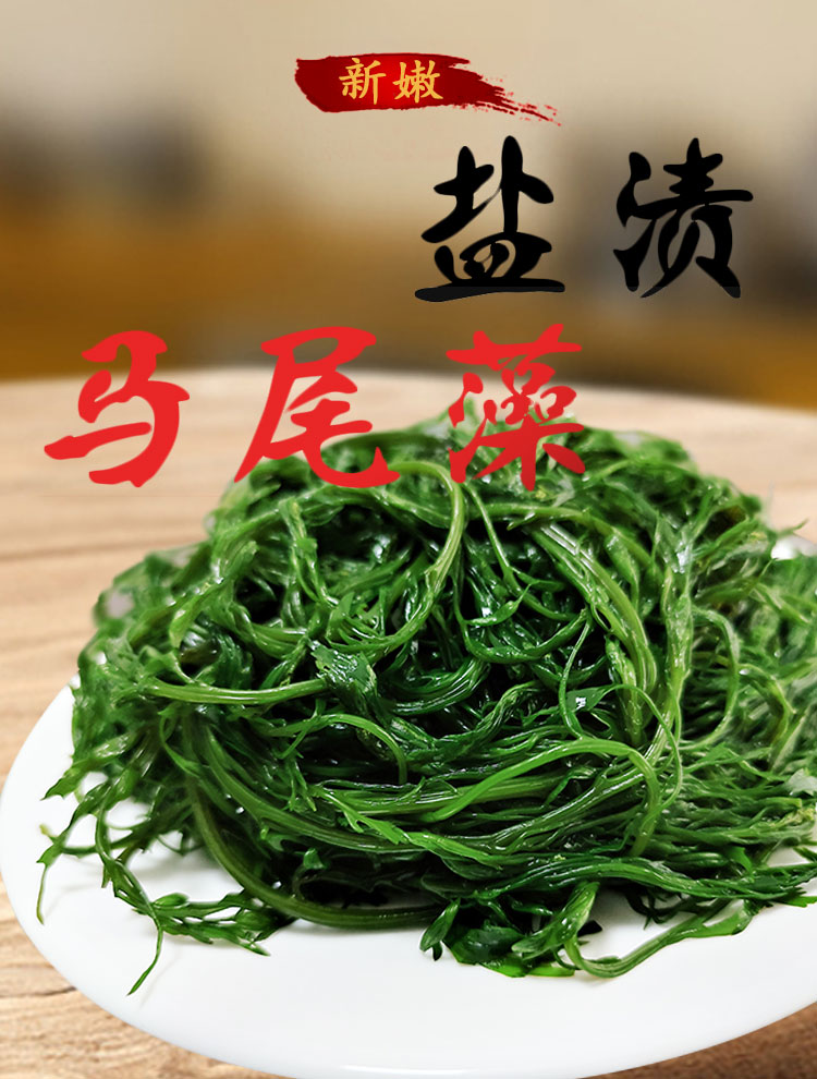 鞭炮笋新鲜海藻羊栖菜火锅菜海草5斤长寿菜出口级盐渍荣成马尾藻 2500