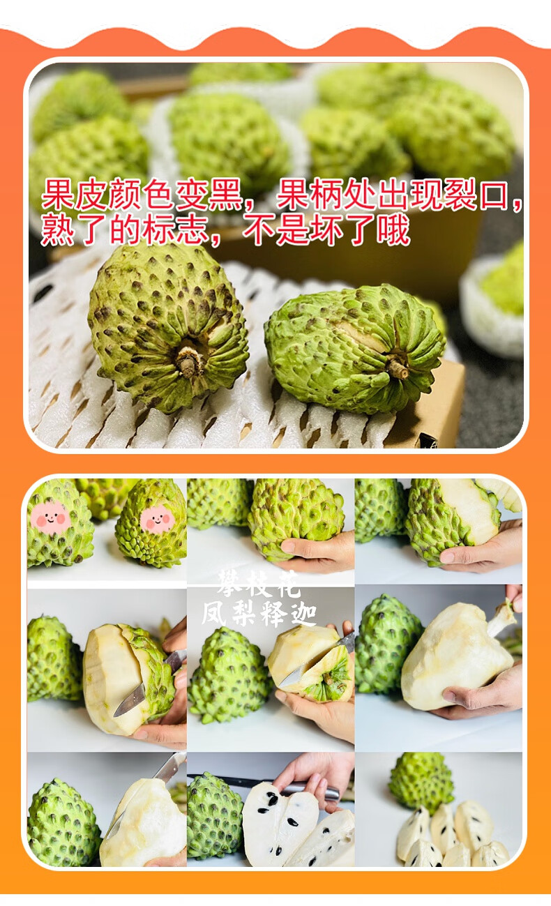 骄瑰攀枝花牛奶凤梨释迦果精品大果礼盒番荔枝佛头果时令新鲜水果2500
