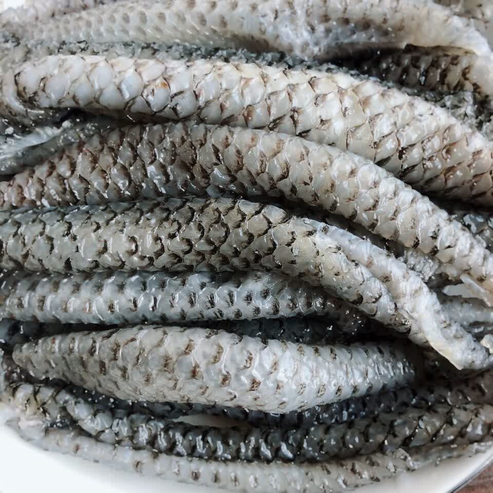 福茹洲 新鲜原味熟鱼皮泡椒鱼皮食材500g海鲜凉拌火锅鱼皮餐饮批发