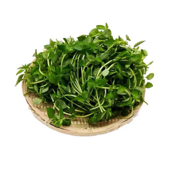 云南德宏野菜傣族调料新鲜蔬菜正宗香嫩水薄荷水香菜泡沫箱 1000克