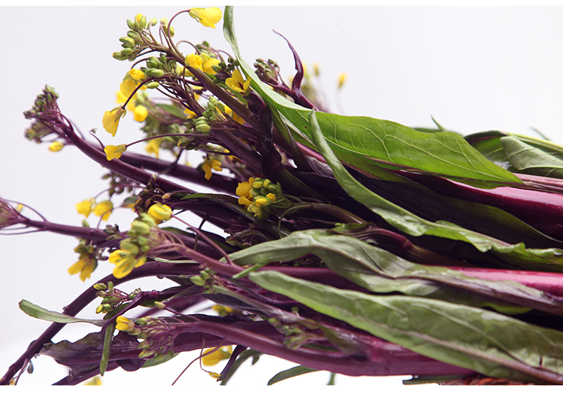 青樱红荔湖北红菜苔新鲜洪山菜苔武汉苔油菜苔菜薹青菜蔬菜特产 2000g