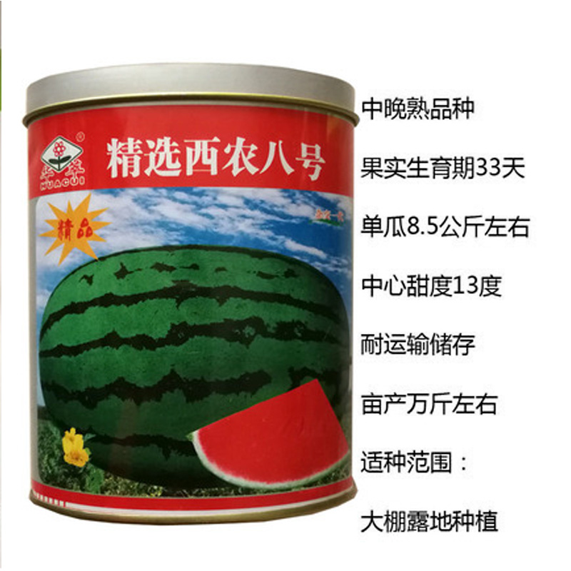 精选西农八号特大西瓜种子沙漠一号旱地西瓜籽高产懒汉王农家种孑精选