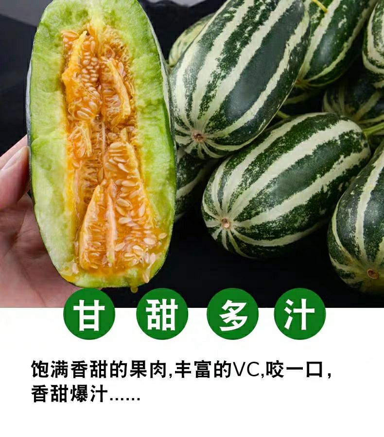 山东博洋9号甜瓜香瓜孕妇水果新鲜当季小脆瓜羊角蜜瓜整箱5斤三斤头茬