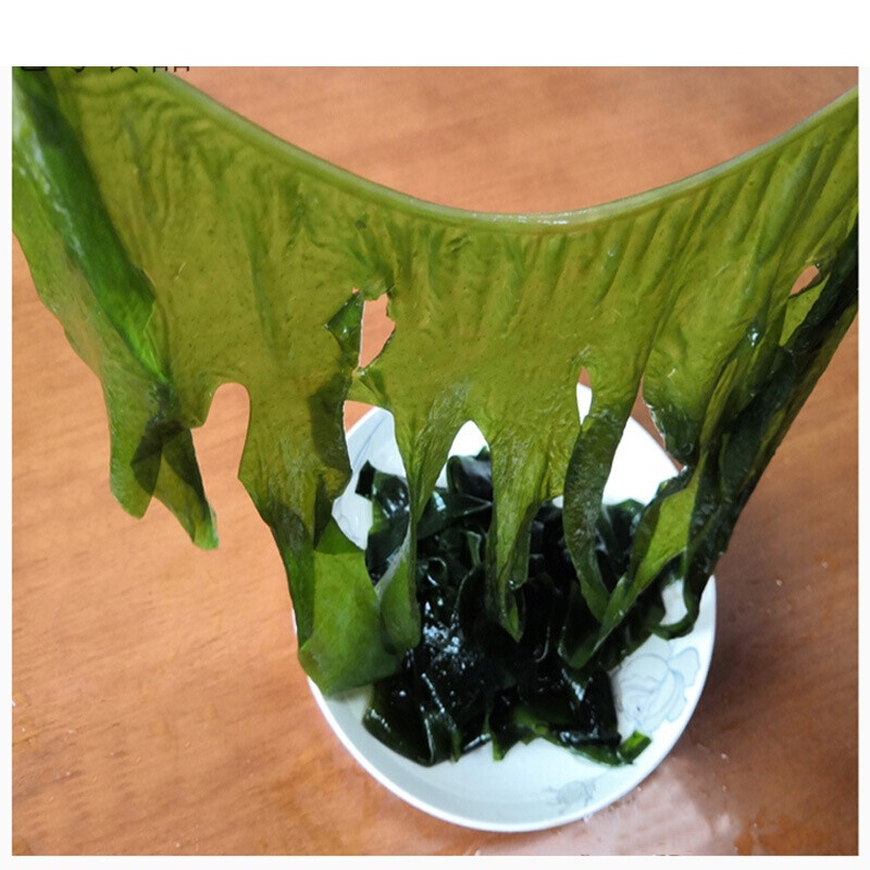 海带芽嫩苗裙带菜干货烫三秒火锅菜韩式海带汤的海带牙海芽菜干货定制