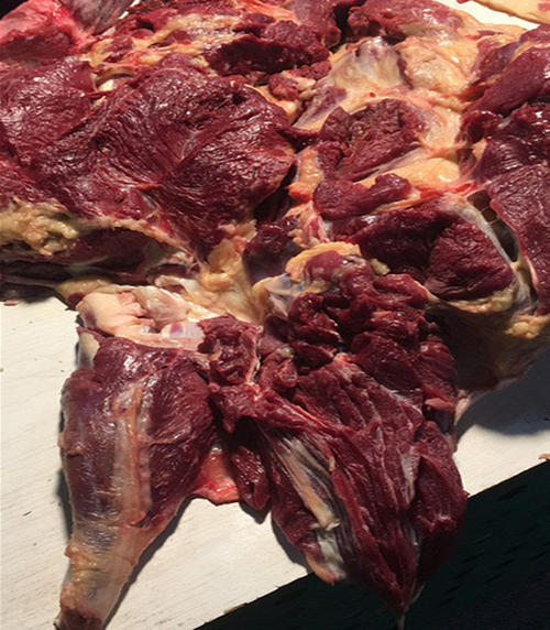 马肉新鲜马肉驴肉牛肉羊肉肋条排骨腱子肉马腿肉熏马肠腾旺纳跃马肉3
