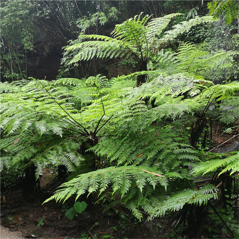 cb02bd9280374e3d.jpg