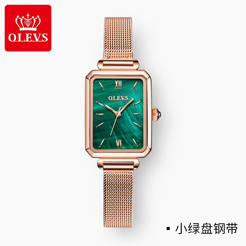 瑞士浪情绿水鬼手表女士机械表时尚气质轻奢新款女表 小绿盘钢带