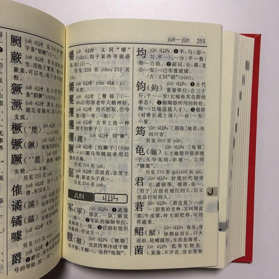 雀峰正版新华字典第12版小学生学校指定版本商务印书馆出版近义反义词