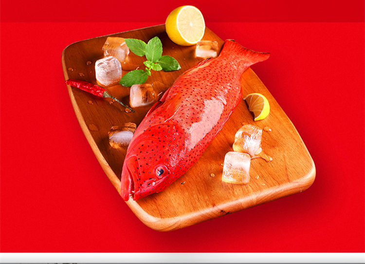 东星斑鱼400500g条海捕红星燕尾斑鱼新鲜冻品海鲜水产莫尔加德东星斑1