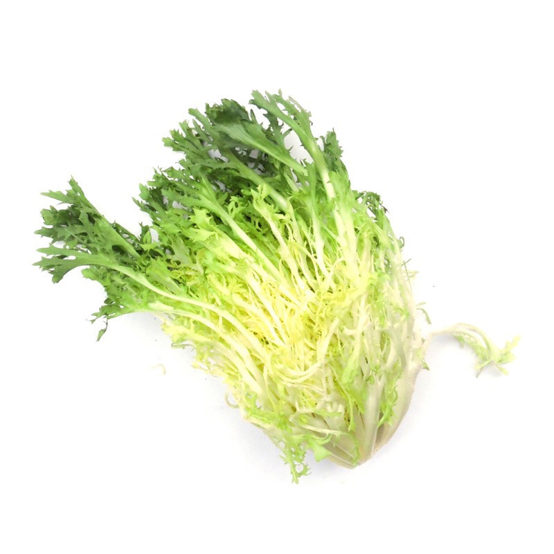 新鲜黄心苦叶苦菊生菜狗牙生菜九芽沙拉蔬菜500g 500g【图片 价格