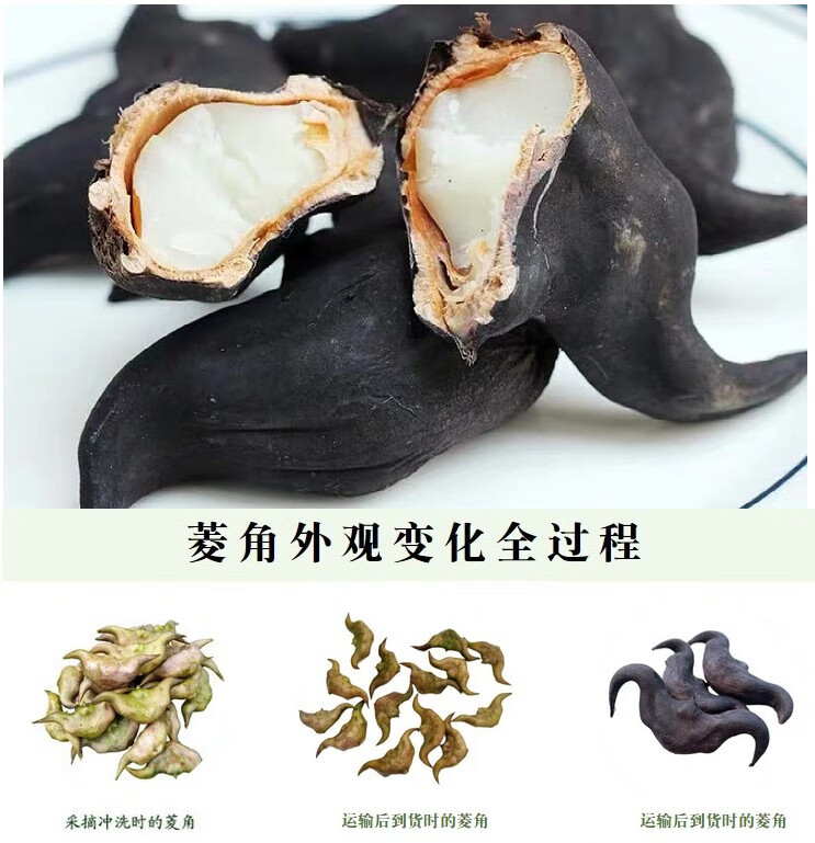 洪湖菱角新鲜老菱角粉糯莲角黑菱角湖北特产菱角新鲜生棱角凌角1500g