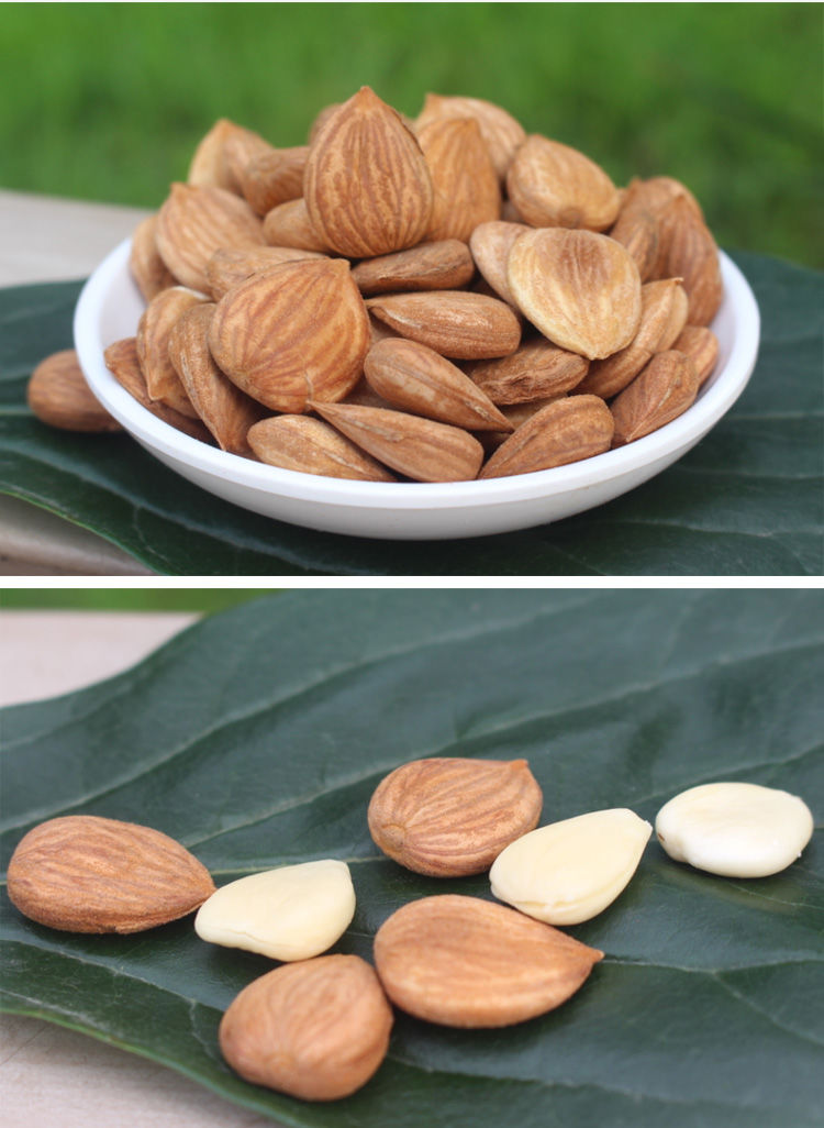 【500克】仁南杏大扁杏生熟烤杏仁片零食 一件一斤干净无杂 先收藏再