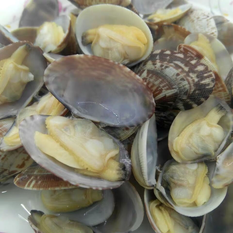 蛤蜊肉即食花甲蛤蜊多规格熟杂色蛤冷冻蚬子丹东东港特产海鲜2代