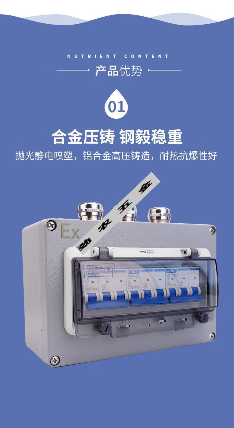 防爆开关三相380v 32a2f63a空开铸铝隔爆盒3p4p c型断路器开关 32a3p