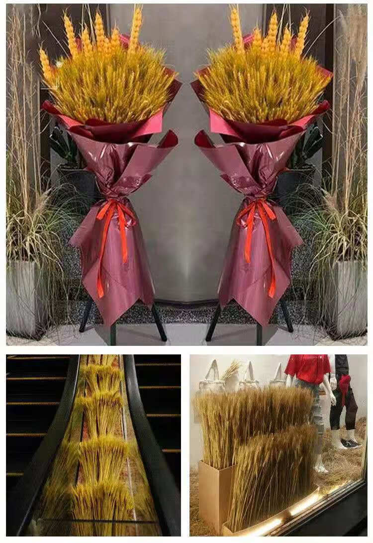 黄金麦穗带瓶黄金麦穗开业家庭装饰干花花束摆件开业大麦花篮田园摄影