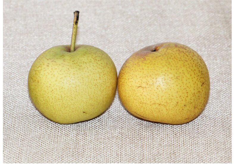 酸梨新鲜唐山安梨老酸梨细皮小酸梨可做东北冻梨孕妇酸水果中大果5斤