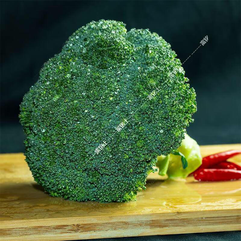 当季西兰花新鲜蔬菜叶菜类山东农家当季整箱青菜西蓝花菜 生鲜 5斤