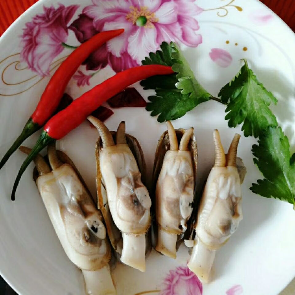 老扣 小人仙 真空包装一袋500克蛏子贝类海鲜 三袋