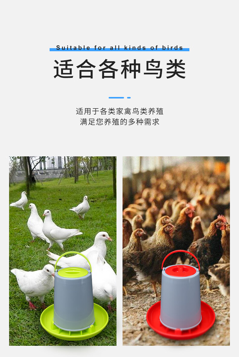 鴿子斑鳩鵪鶉自動餵食飲水器信鴿用品用具鴿具養雞餵雞鴨食槽食盒料盆