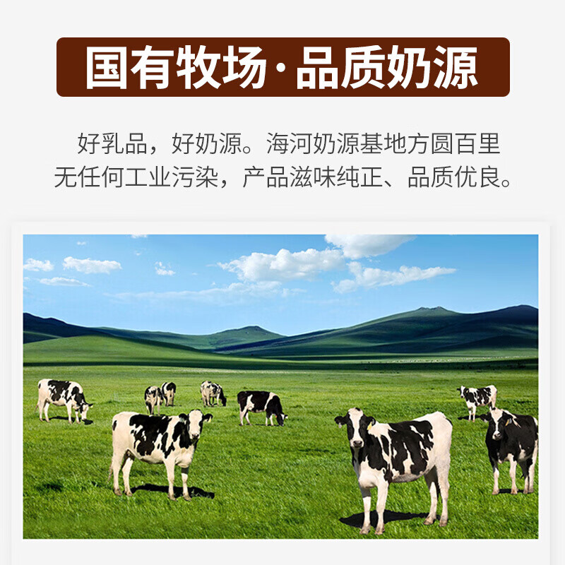 预售天津海河牛奶乳制品巧克力牛奶调制乳网红22018牛奶抖音袋装12包