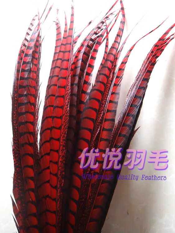 欧凯奇玖亚迪 舞台俏花旦京剧戏曲头饰翎子鸡毛山鸡尾野鸡毛鸡侧尾