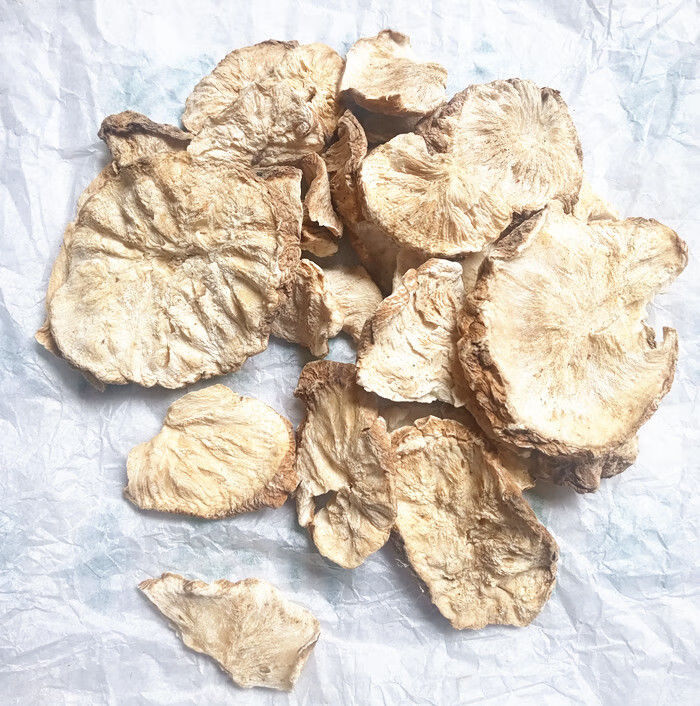 中药菊苣中药长白山菊苣根片菊苣根茶菊苣茶可搭配栀子 菊苣根片500克