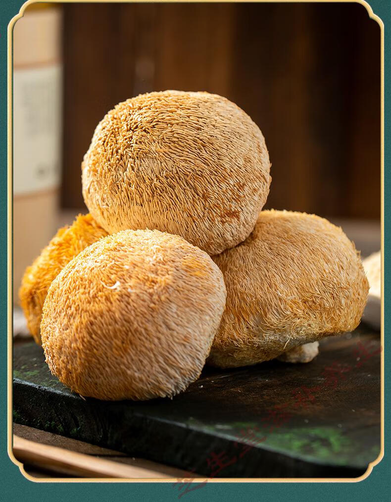 官方旗舰晗畅猴头菇粉纯粉冲饮食品天然猴菇营养粉早餐调理