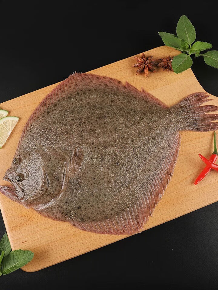 活冻多宝鱼比目鱼大菱鲆扁鱼海鲜 一条(亏本冲销量) 7两-9两之间/每条